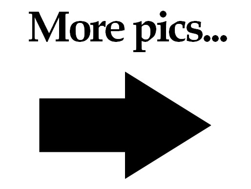 Click on this image for more pics...